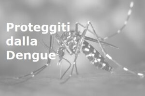dengue_zanzara_1 Zanzara